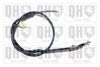 QH_BC4029.JPG
