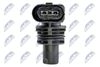 ECP-AU-024_4-WM.JPG