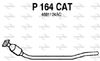 P164CAT.JPG