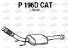 P196DCAT.JPG