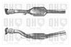 QH_QCAT80172H.JPG