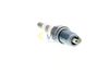 запалителна свещ