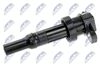 ECZ-KA-305_2-WM.JPG
