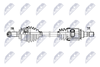 NPW-BM-203_9-WM.PNG
