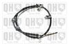 QH_BC3715.JPG