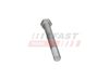 šroub ramene IVECO, M16x1,5x160mm FT20026