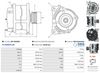 A01126(SEG)_256960.JPG