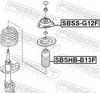 SBSS-G12F_1.JPG