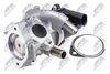 EGR-NS-015_2-WM.JPG