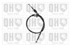QH_BC3456.JPG