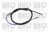 QH_BC3269.JPG