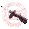 313528-PCS-MS.JPG