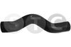 09833_201250.JPG