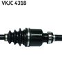 VKJC 4318_3.JPG