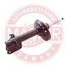 312896-PCS-MS.JPG