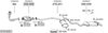 SYS16351.JPG