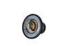 Termostat, chladivo 725174