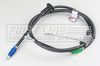 FKB3885_3194062.JPG
