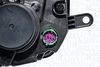 ILF_LPR101_2_WR.JPG