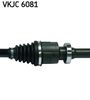 VKJC 6081_3.JPG