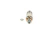 Bosch Nozzle and Holder Assembly 9 430 610 297