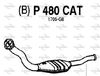 P480CAT.JPG