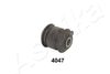 GOM-4047_1.JPG