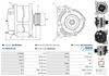 A01403(SEG)_256960.JPG