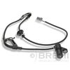 ER-02069.JPG