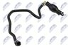 BPP-PL-003_1-WM.JPG