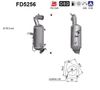 FD5256.JPG