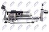 esw-vw-034_6-wm.JPG