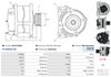 A01317(SEG)_256960.JPG