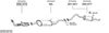 SYS13715.JPG