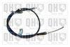 QH_BC3989.JPG