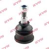 KYB-KBJ4433.JPG