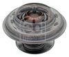 Termostat, chladivo 10528