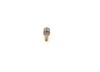 Genuine Bosch Injector Nozzle 0433171983 DLLA153P1609