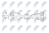 NPW-VW-232_9-WM.PNG