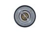 205_725176.ZIP