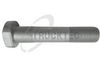 TRUCKTEC Radbolzen 05.33.005 - 0533005 passend f&uuml;r 81455010176