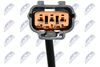 ECP-MZ-002_3-WM.JPG