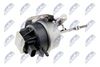 ecd-vw-009_1-wm.JPG
