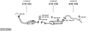 SYS12090.JPG