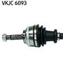 VKJC 6093_2.JPG