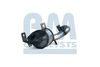 Катализатор BM CATALYSTS BM91685H