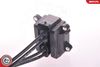 SKV_03SKV021_WM_02.JPG