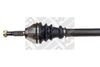 16151#2.JPG