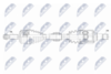 NPW-TY-203_9-WM.PNG