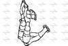 P103CAT.JPG